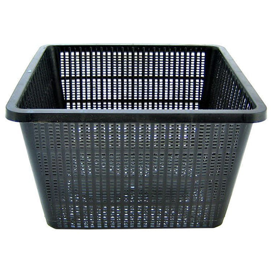 Beckett Square Plant Pond Basket-Fish-Beckett-1 count-
