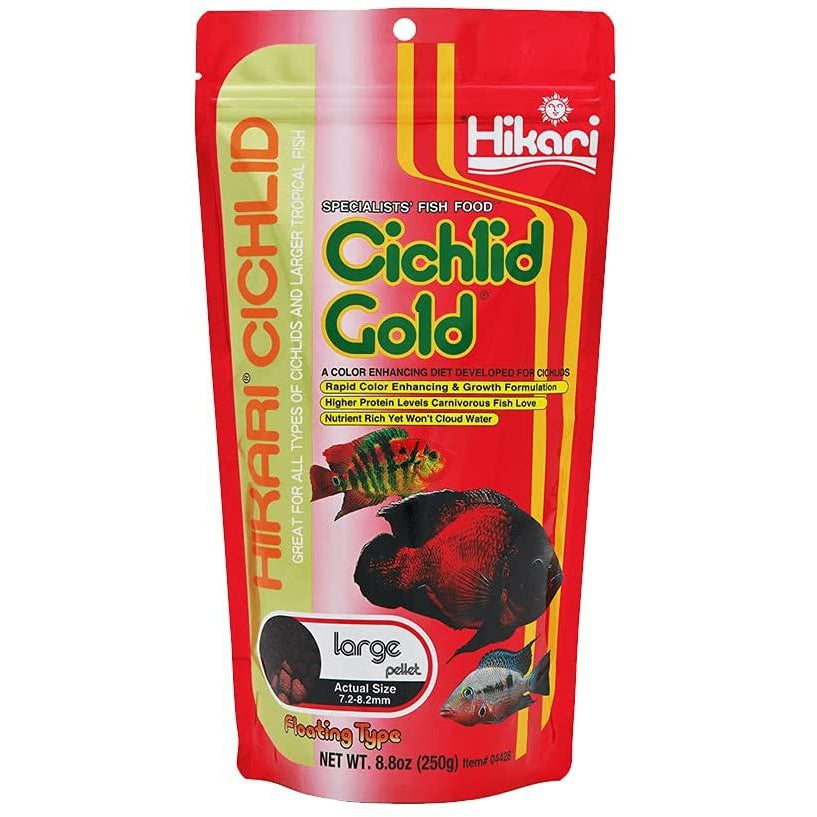 Hikari Cichlid Gold Color Enhancing Fish Food - Large Pellet-Fish-Hikari-8.8 oz-