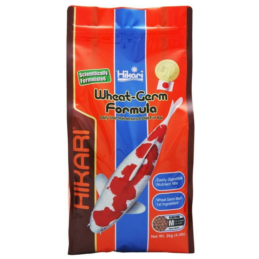 Hikari Wheat Germ - Medium Pellet-Fish-Hikari-4.4 lbs-