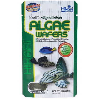 Hikari Algae Wafers-Fish-Hikari-.71 oz - 20 Grams-