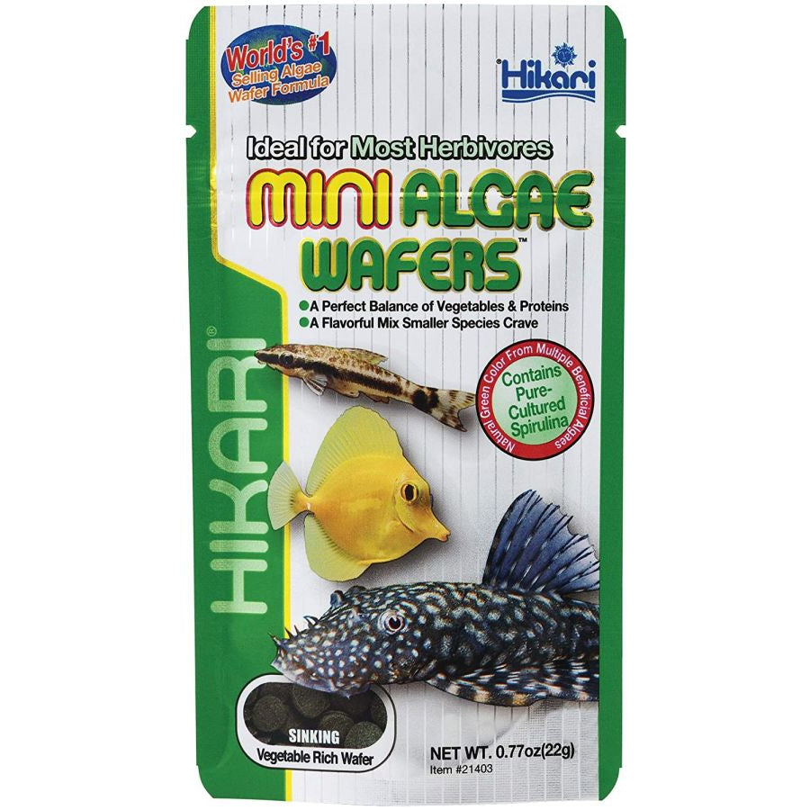 Hikari Mini Algae Wafers-Fish-Hikari-.77 oz-