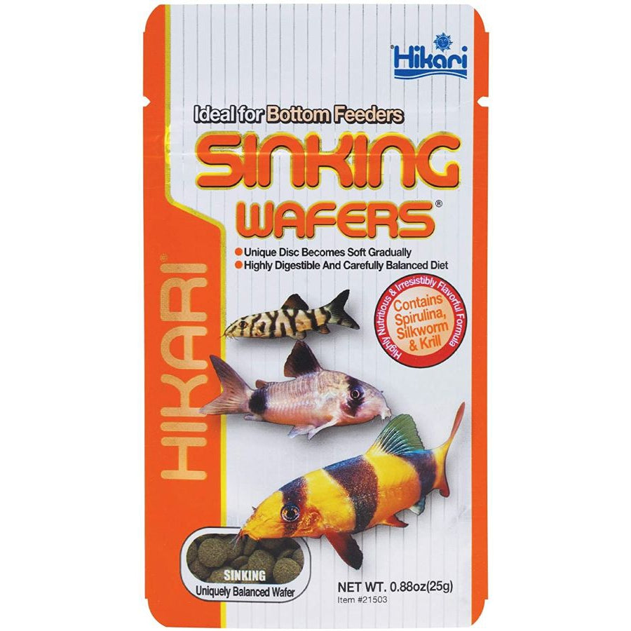 Hikari Sinking Wafers for Bottom Feeding Fish-Fish-Hikari-.88 oz - 25 Grams-
