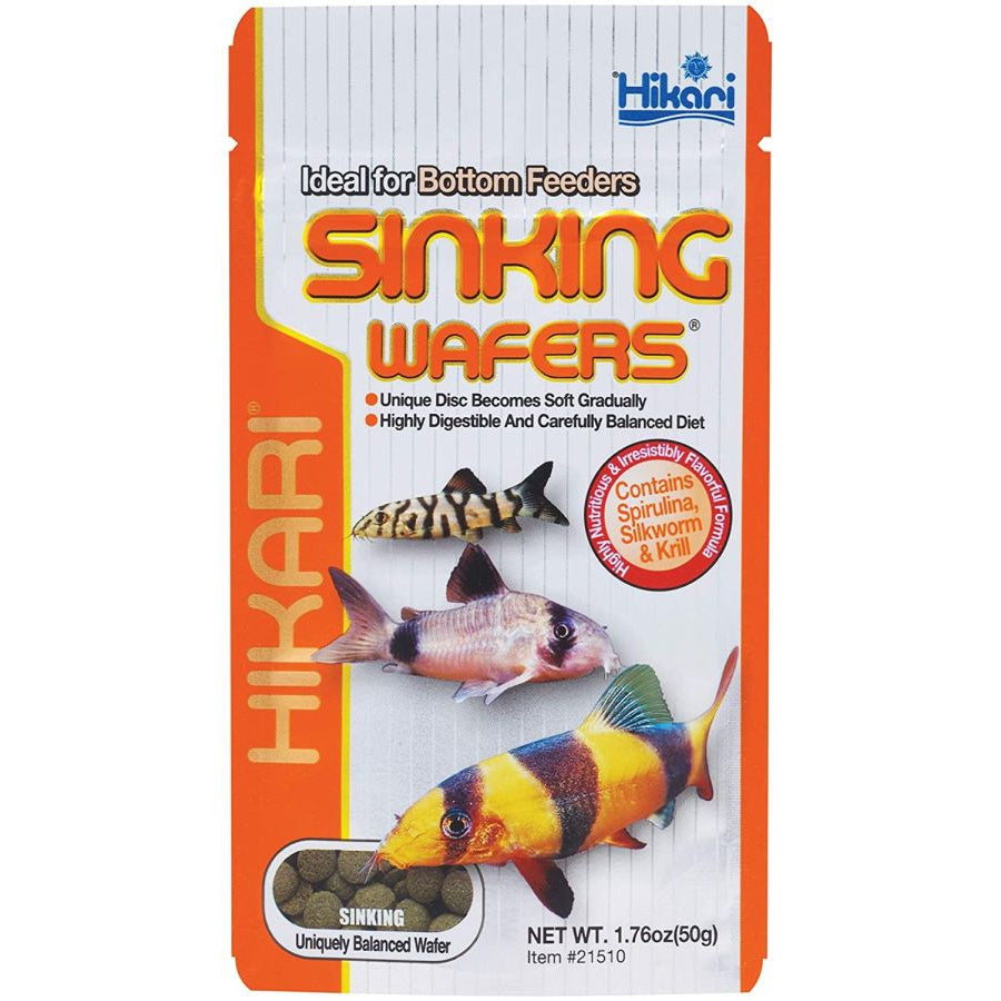 Hikari Sinking Wafers for Bottom Feeding Fish-Fish-Hikari-1.76 oz - 50 Grams-