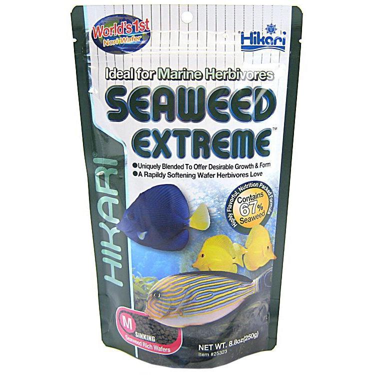 Hikari Seaweed Extreme - Medium Pellets-Fish-Hikari-8.8 oz-