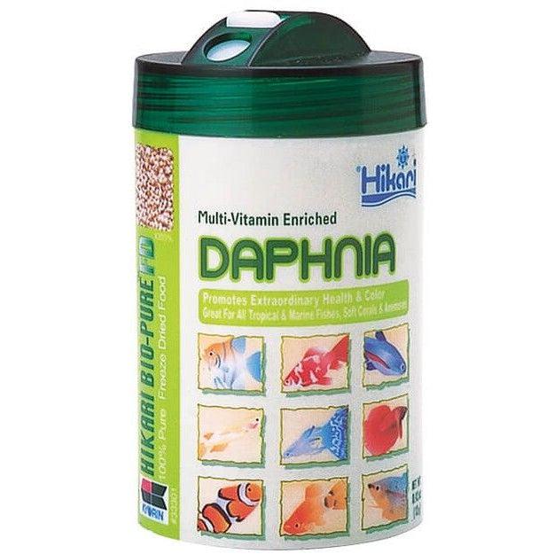 Hikari Daphnia - Freeze Dried-Fish-Hikari-.42 oz - 12 Grams-