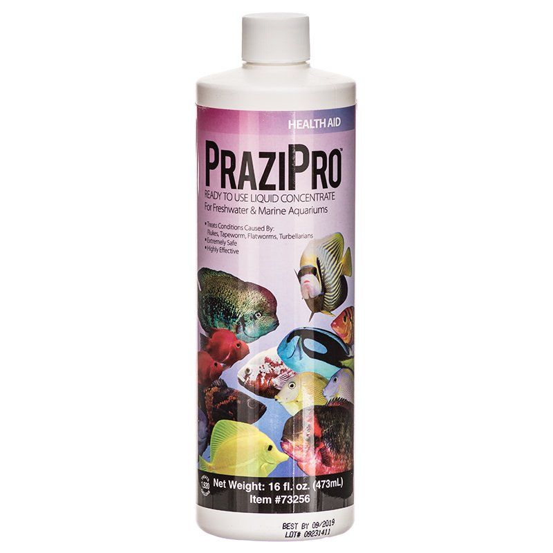 Hikari Aquarium Solutions PraziPro-Fish-Hikari-16 oz-