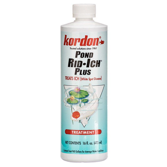 Kordon Pond Rid-Ich + Disease Treatment-Fish-Kordon-16 oz-