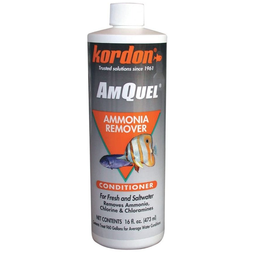 Kordon AmQuel Ammonia Remover Water Conditioner-Fish-Kordon-16 oz-