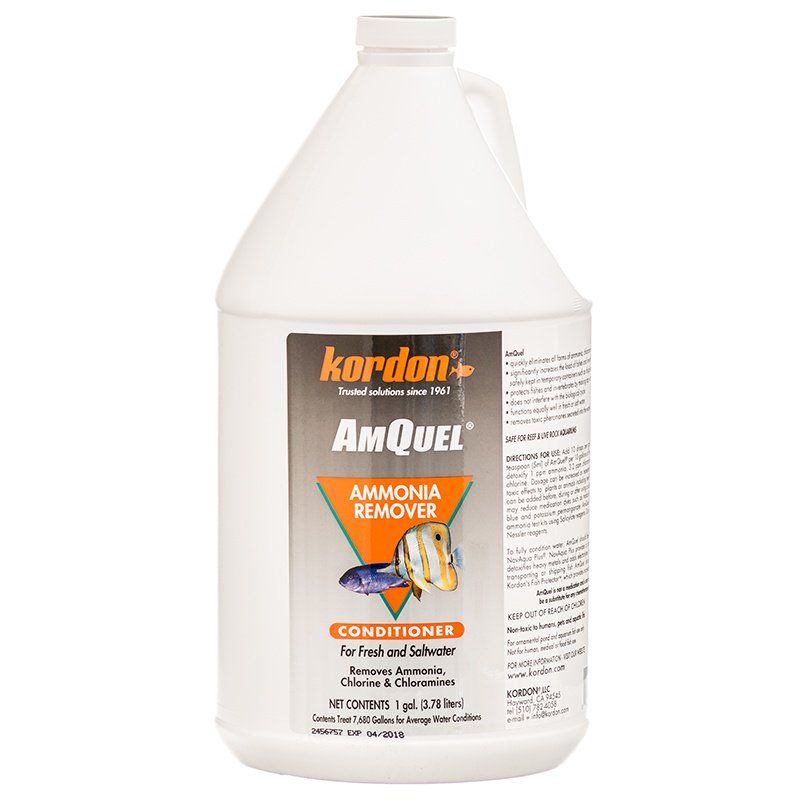 Kordon AmQuel Ammonia Remover Water Conditioner-Fish-Kordon-1 Gallon-