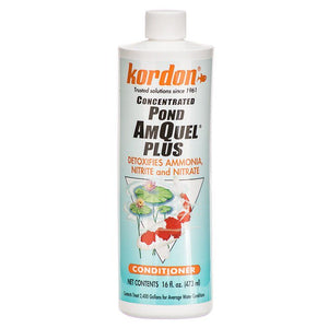 Kordon Concentrated Pond AmQuel +-Fish-Kordon-16 oz-