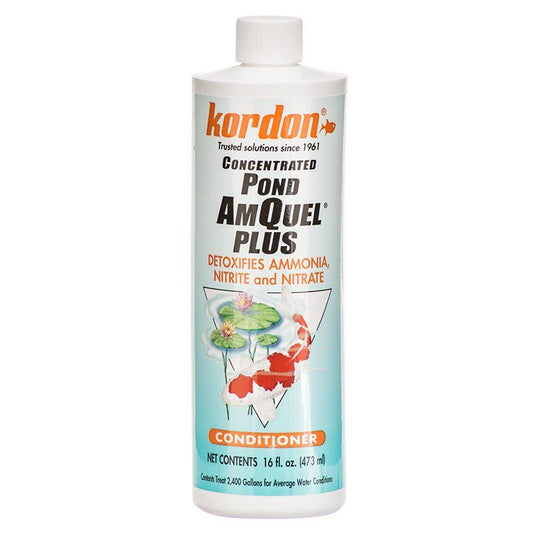 Kordon Concentrated Pond AmQuel +-Fish-Kordon-16 oz-