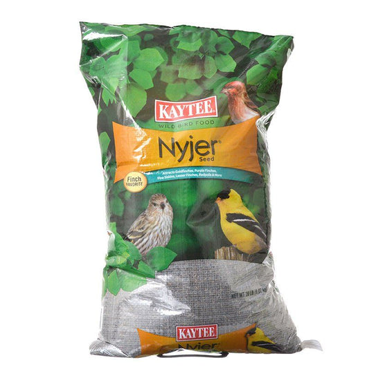 Kaytee Thistle Nyger Seed Bird Food-Animals & Pet Supplies-BimBimPet-