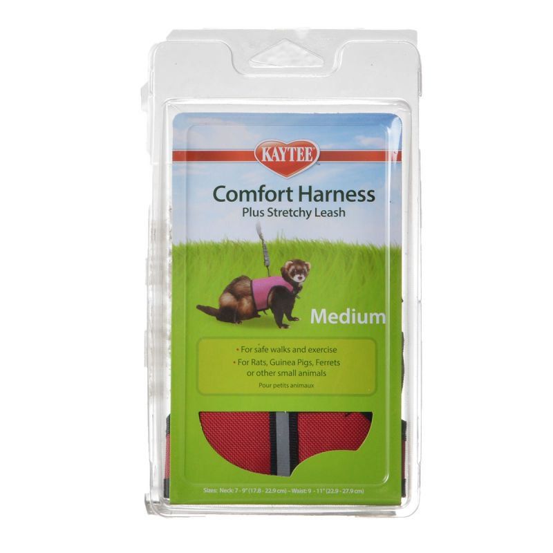 Kaytee Comfort Harness with Safety Leash-Small Pet-Kaytee-Medium (7"-9" Neck & 9"-11" Waist)-