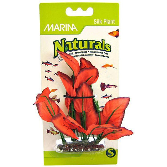 Marina Silk Foreground Aquarium Plant - Red-Fish-Marina-Medium (6" Tall)-