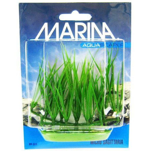 Marina Foreground Micro Sagittaria Aquarium Plant-Animals & Pet Supplies-BimBimPet-