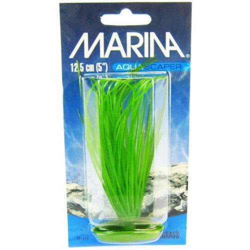 Marina Hairgrass Plant-Fish-Marina-5" Tall-