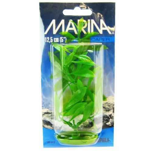 Marina Hygrophila Plant-Fish-Marina-5" Tall-