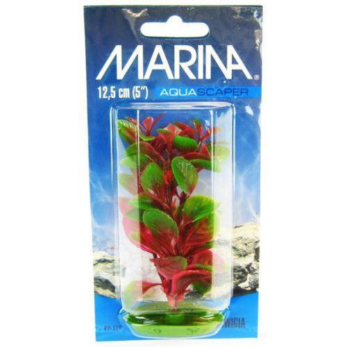 Marina Red Ludwigia Plant-Fish-Marina-5" Tall-