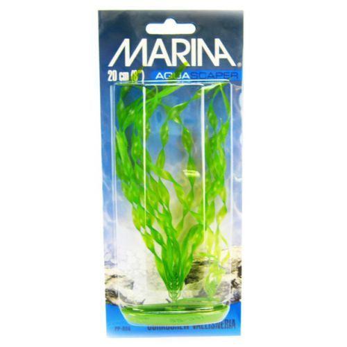 Marina Corkscrew Val Plant-Animals & Pet Supplies-BimBimPet-