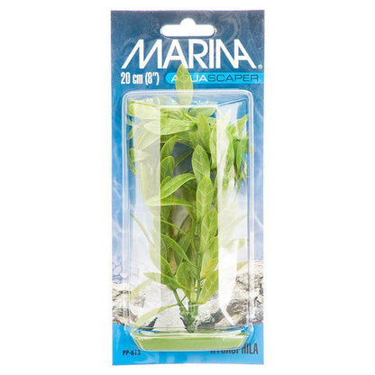 Marina Hygrophila Plant-Fish-Marina-8" Tall-