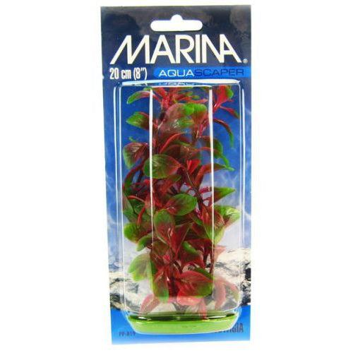 Marina Red Ludwigia Plant-Fish-Marina-8" Tall-