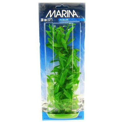 Marina Hygrophila Plant-Fish-Marina-12" Tall-
