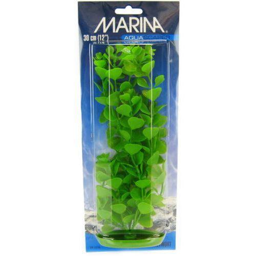 Marina Aquascaper Moneywort Plant-Fish-Marina-12" Tall-