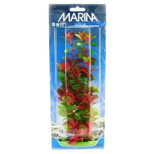 Marina Red Ludwigia Plant-Fish-Marina-12" Tall-