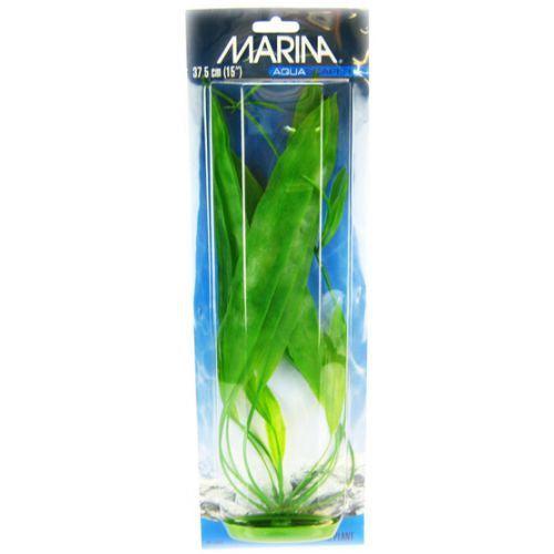 Marina Amazon Sword Plant-Fish-Marina-15" Tall-