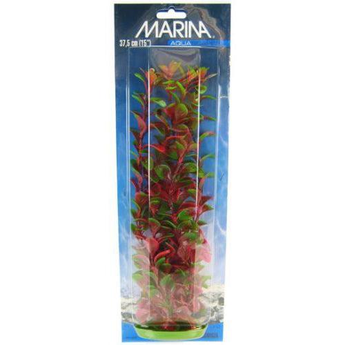 Marina Red Ludwigia Plant-Fish-Marina-15" Tall-