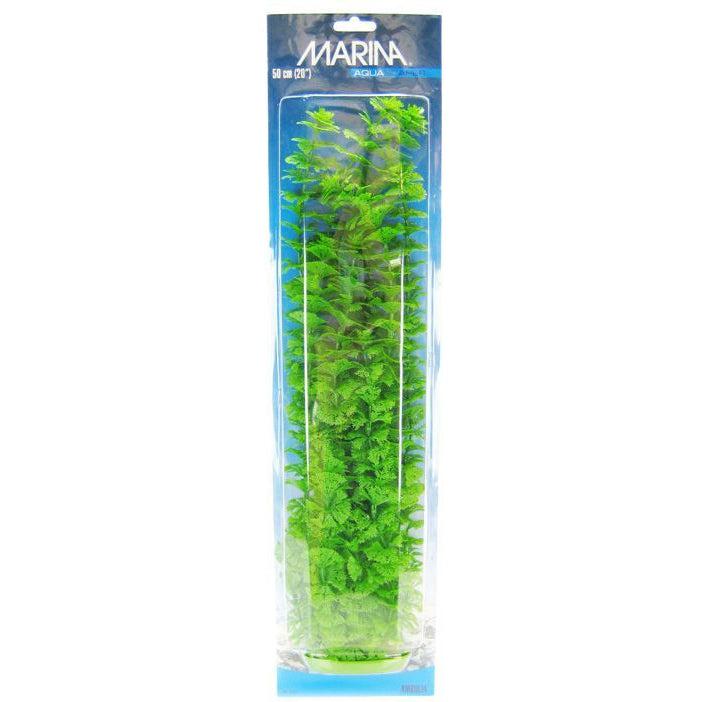 Marina Aquascaper Ambulia Plant-Fish-Marina-20" Tall-