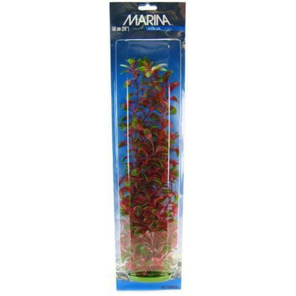 Marina Red Ludwigia Plant-Fish-Marina-20" Tall-