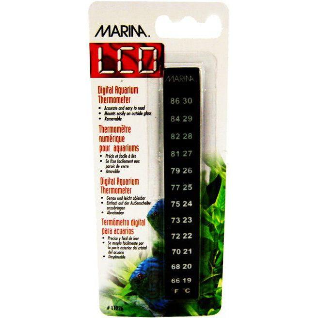 Marina Minerva Digital Thermometer-Fish-Marina-Digital Thermometer-