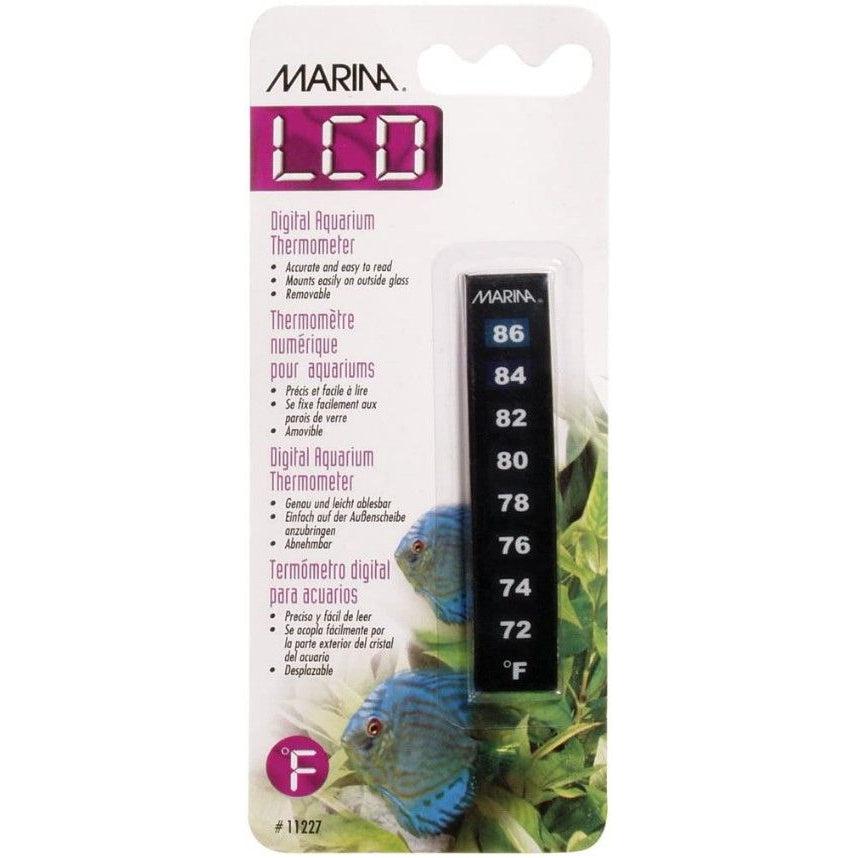 Marina Nova Thermometer-Fish-Marina-Nova Thermometer-