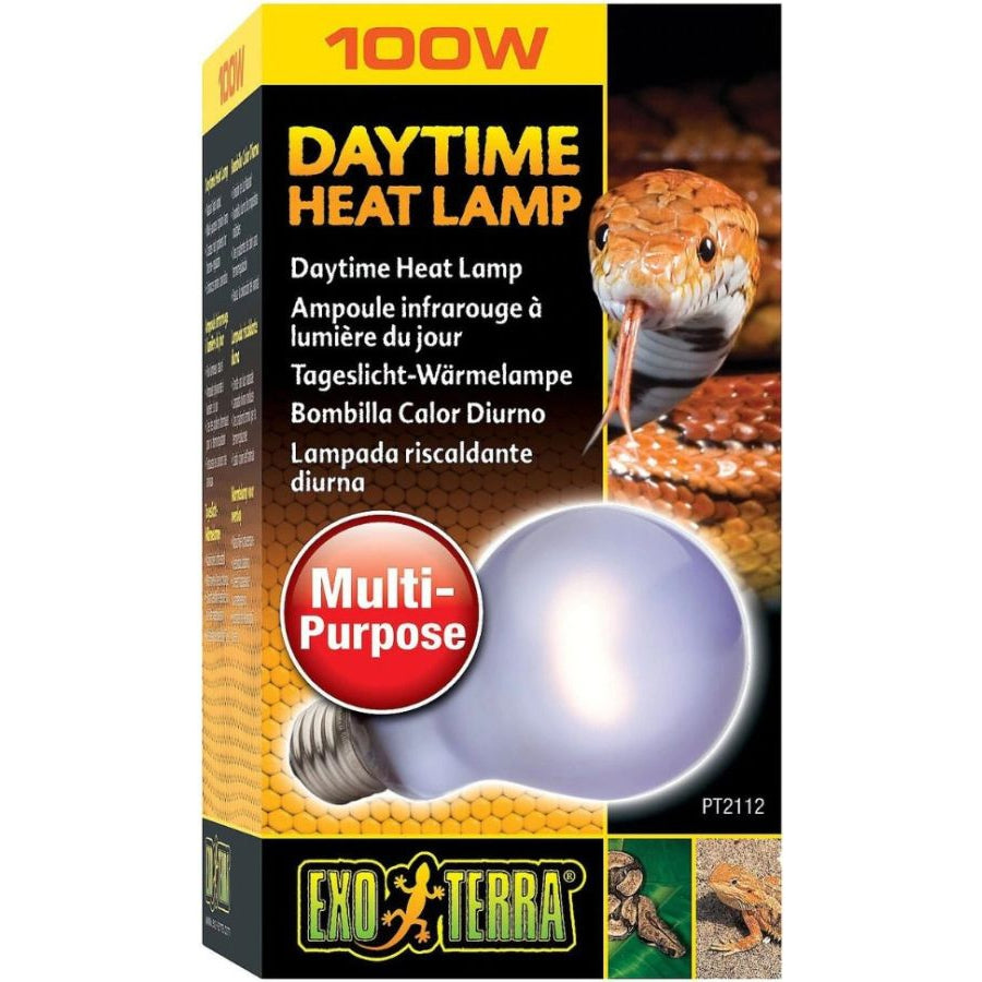 Exo-Terra Sun Glo Neodymium Daylight Lamps-Reptile-Exo-Terra-100 Watts - A19-