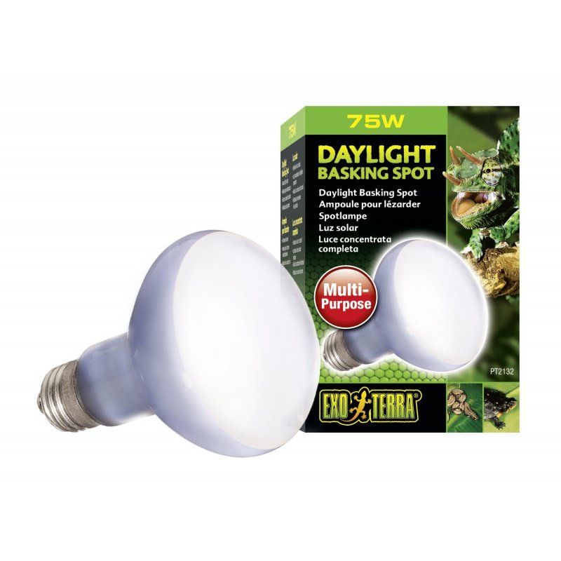 Exo-Terra Sun Glo Neodymium Basking Spot Lamps-Reptile-Exo-Terra-75 Watts-