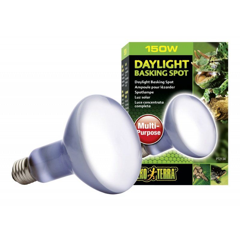 Exo-Terra Sun Glo Neodymium Basking Spot Lamps-Reptile-Exo-Terra-150 Watts-