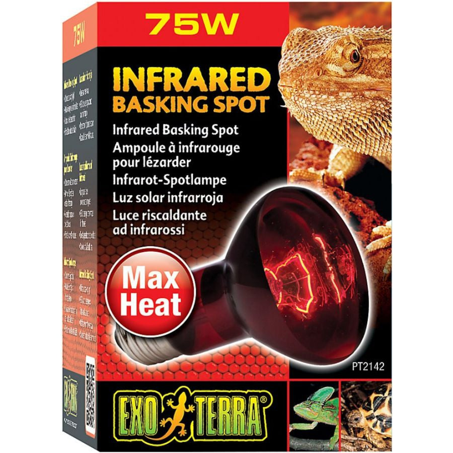 Exo-Terra Heat Glo Infrared Heat Lamp-Reptile-Exo-Terra-75 Watts-
