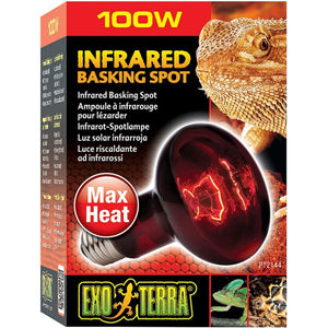 Exo-Terra Heat Glo Infrared Heat Lamp-Reptile-Exo-Terra-100 Watts-
