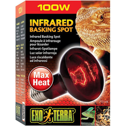 Exo-Terra Heat Glo Infrared Heat Lamp-Reptile-Exo-Terra-100 Watts-
