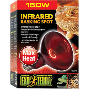 Exo-Terra Heat Glo Infrared Heat Lamp-Reptile-Exo-Terra-150 Watts-