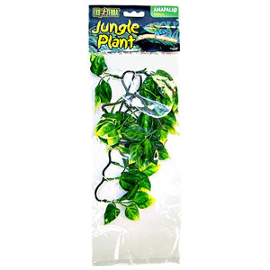 Exo-Terra Amapallo Forest Shrub-Reptile-Exo-Terra-Small (12" Long x 6" Wide)-