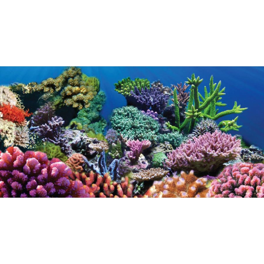 Aquatic Creations Coral Cling Aquarium Background-Fish-Aquatic Creations-36" Long x 18" Wide-