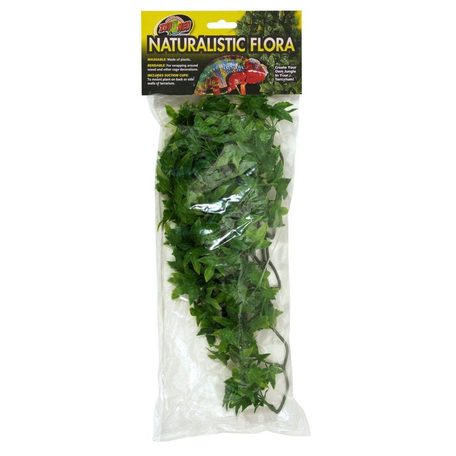 Zoo Med Natural Bush - Congo Ivy Aquarium Plant-Reptile-Zoo Med-Medium (12"-15" Tall)-