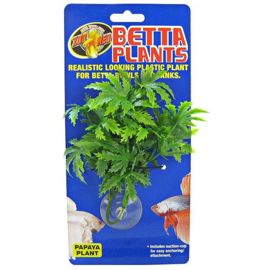 Zoo Med Aquatic Betta Plants - Papaya-Fish-Zoo Med-Papaya Betta Plant-