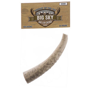 Big Sky Antler Chew for Dogs-Dog-Scott Pet-Medium - 1 Antler - Dogs Over 40 lbs - (6"-7" Chew)-