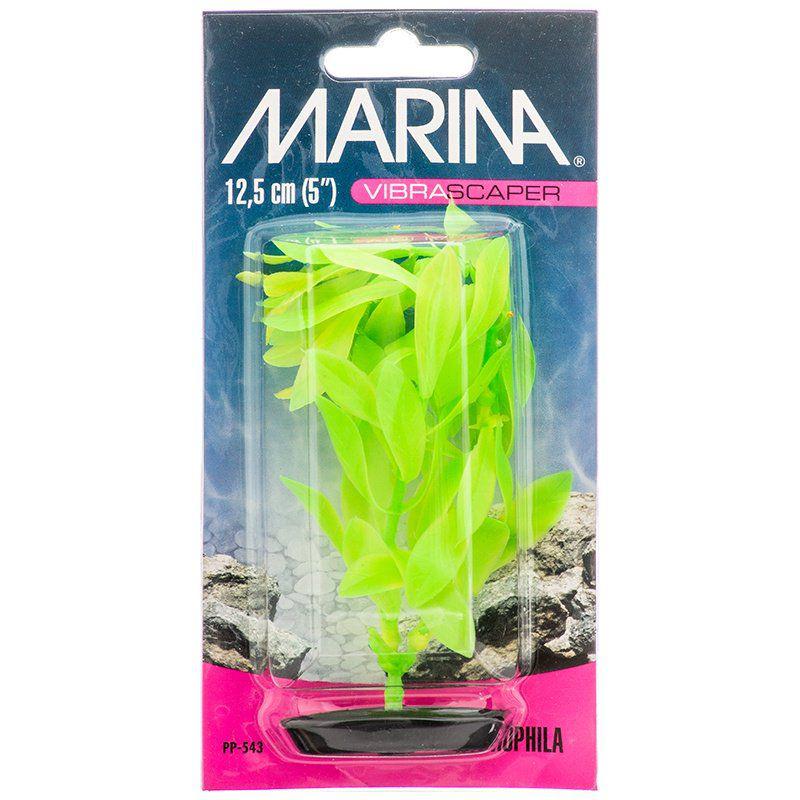 Marina Vibrascaper Hygrophilia Plant - Green DayGlo-Fish-Marina-5" Tall-