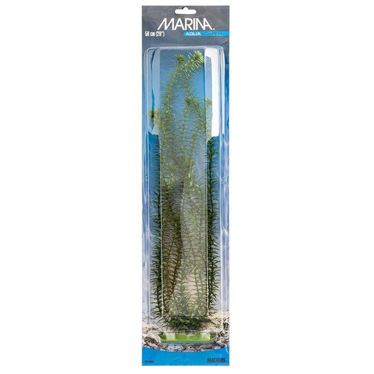 Marina Aquascaper Anacharis Plant-Fish-Marina-20" Tall-