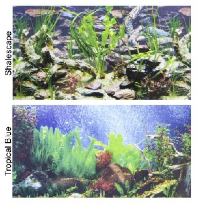 Penn Plax Double-Back Aquarium Background - Tropical Blue / Shalescape-Fish-Penn Plax-24" Tall x 48" Wide - (Fits 45-120 Gallon Tanks)-