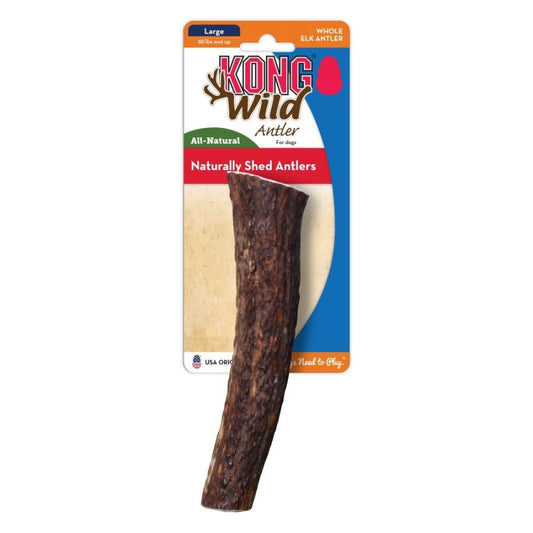 KONG Wild Whole Elk Antler Dog Chew-Dog-KONG-Large (Dogs 60 lbs and up)-